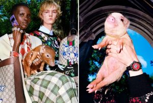 marketing Gucci