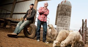 Aglocal, dal pascolo alla vendita in rete Aglocal