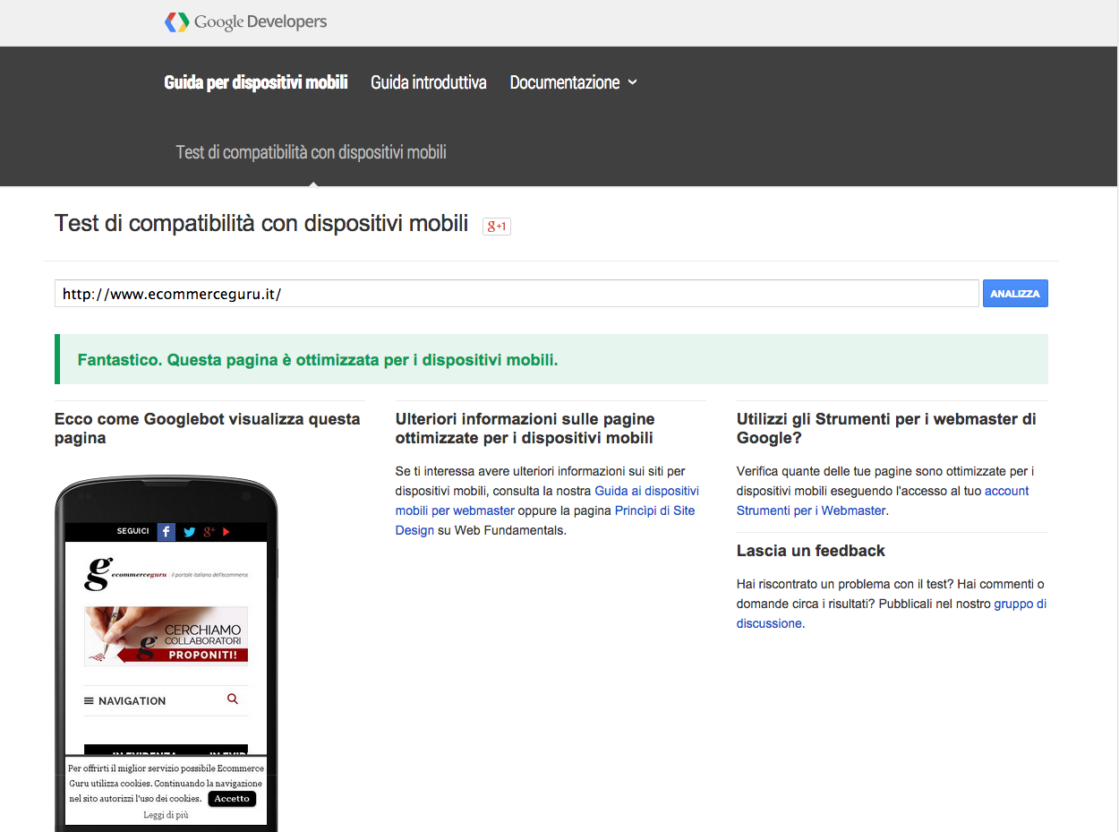 Test mobile-friendly di Google | Ecommerce Guru