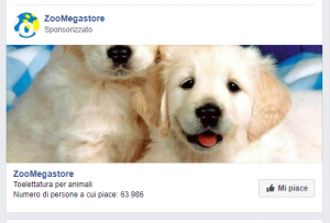 Paid social nel feed di Facebook.