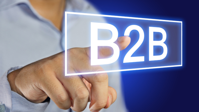 Ecommerce B2B