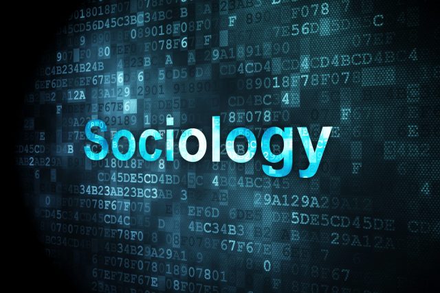 sociologia digitale società