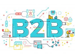 Ecommerce B2B